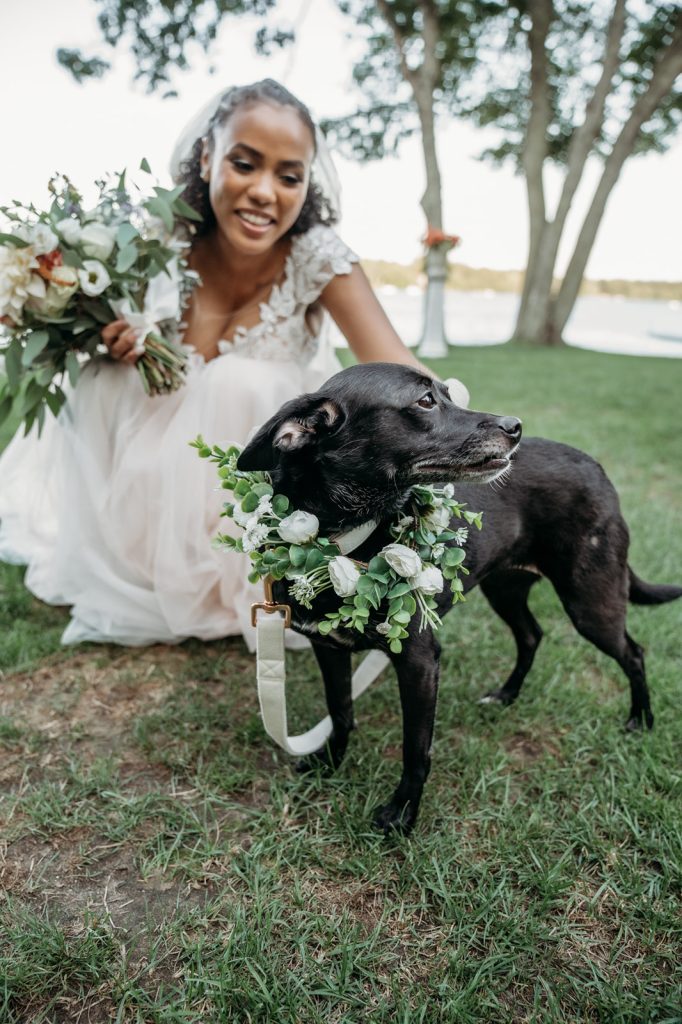 bride and dog